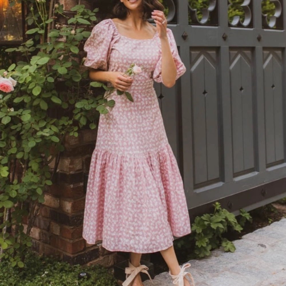 Brand New Ivy city co Elizabeth dress